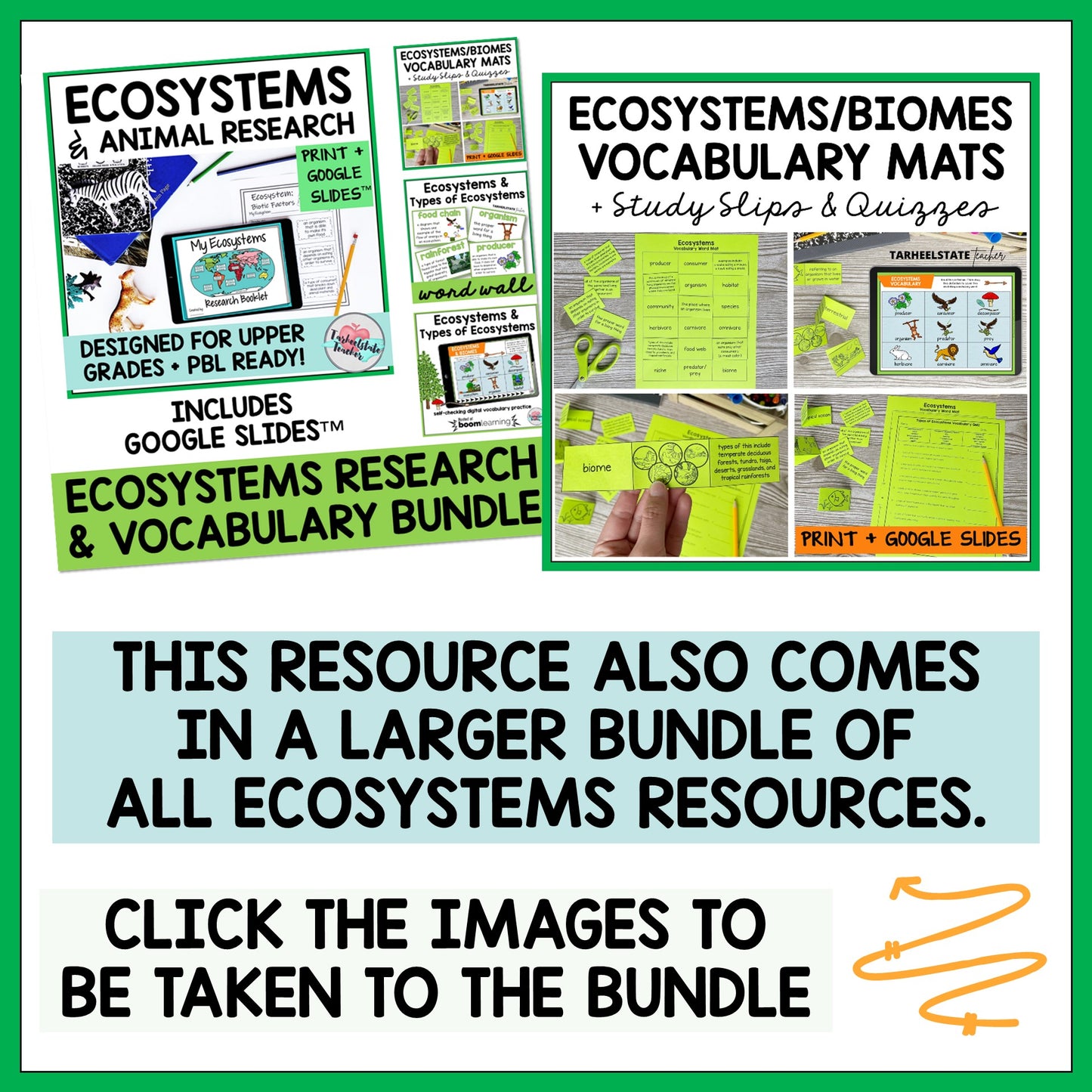 Ecosystems and Biomes Vocabulary Activities Mats, Study Slips, & Quizzes