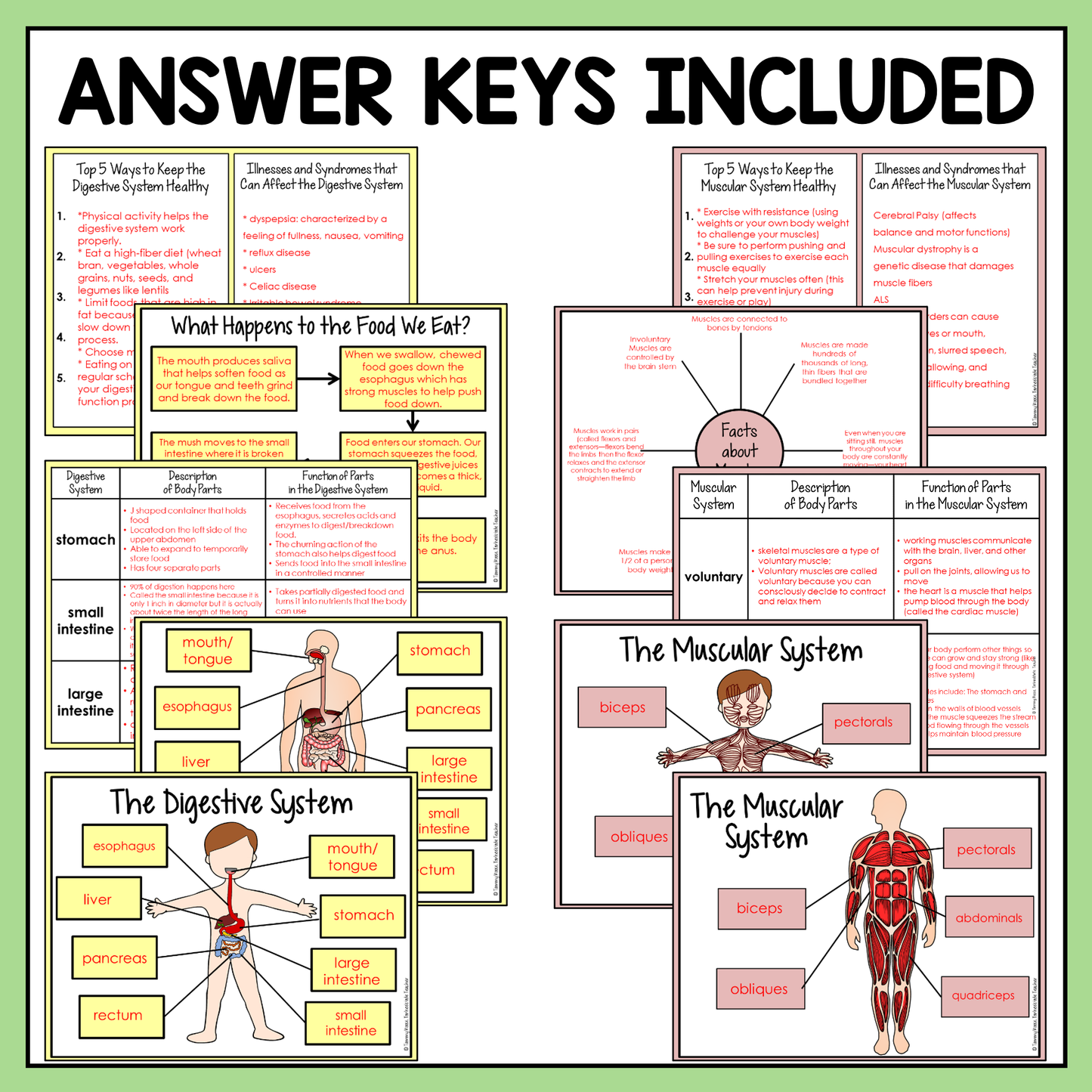 Digital answer keys included for easy checking and grading