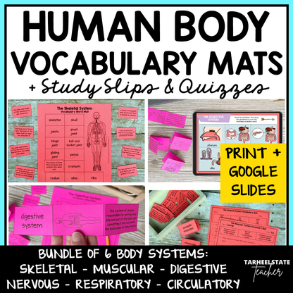 Human body systems vocabulary activities and quizzes for skeletal, muscular, digestive, nervous, respiratory, and circulatory systems