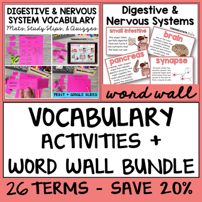 Digestive and Nervous System Vocabulary Mats, Study Slips, and Quizzes with Word Wall Bundle