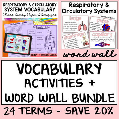 Educational materials for respiratory and circulatory systems vocabulary with digital and print options.