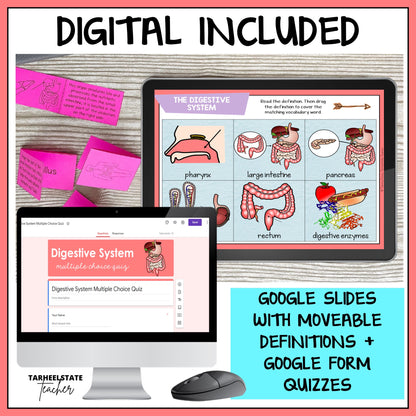 Digestive and Nervous System Vocabulary Mats, Study Slips, and Quizzes with Word Wall Bundle