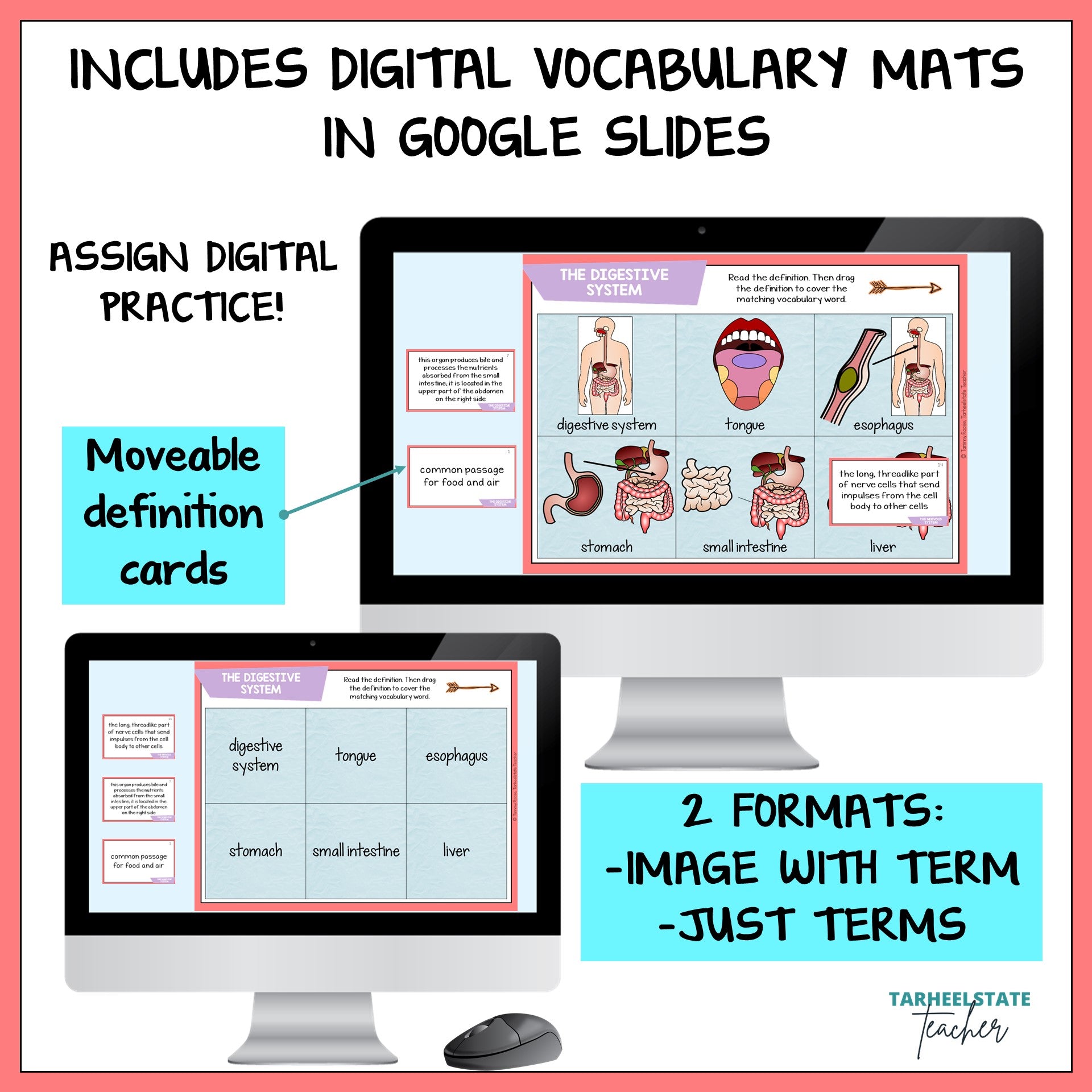 Digital vocabulary mats include moveable definition cards