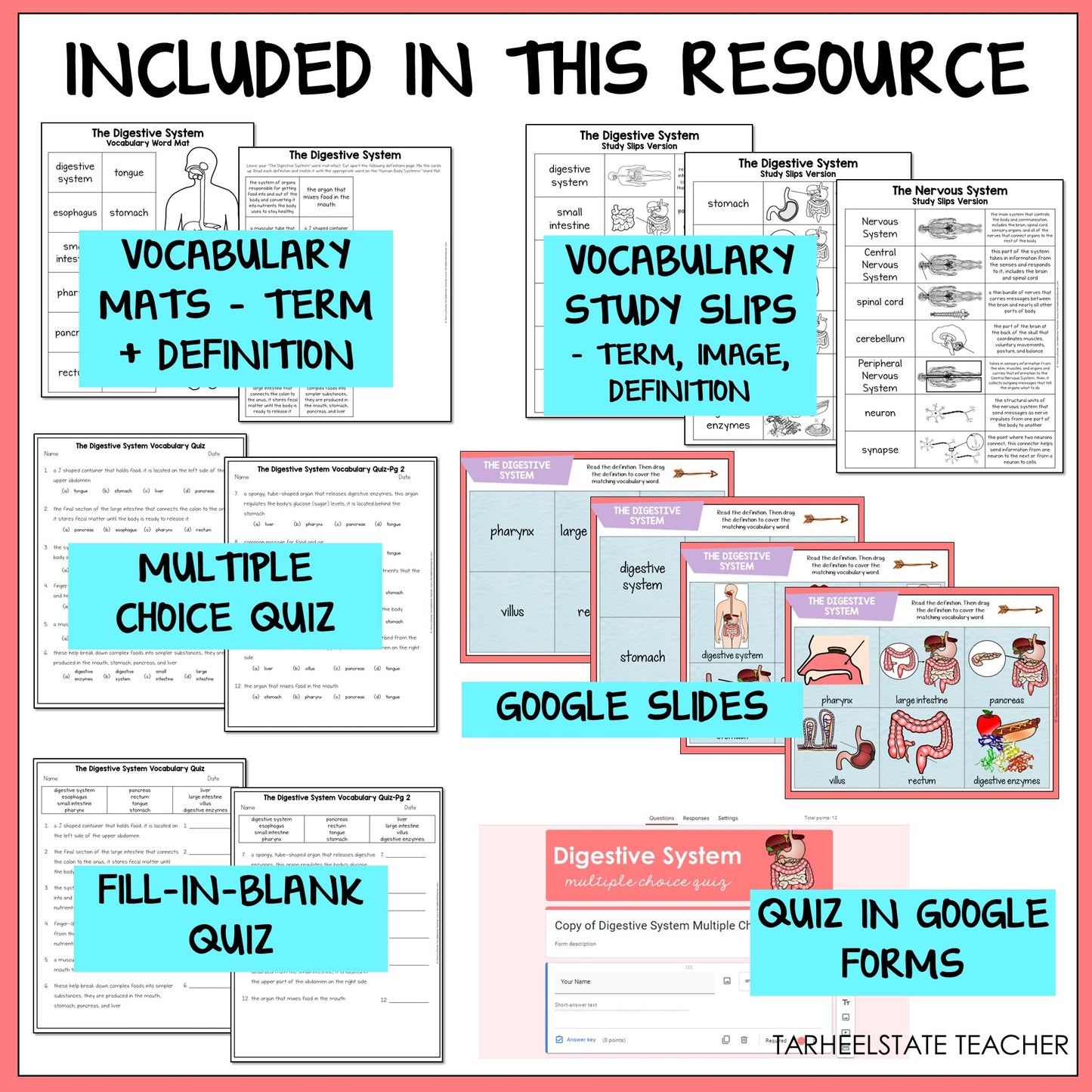 Educational resources including vocabulary mats, study slips, multiple choice quiz, Google Slides, fill-in-blank quiz, and quiz in Google Forms for the digestive system.