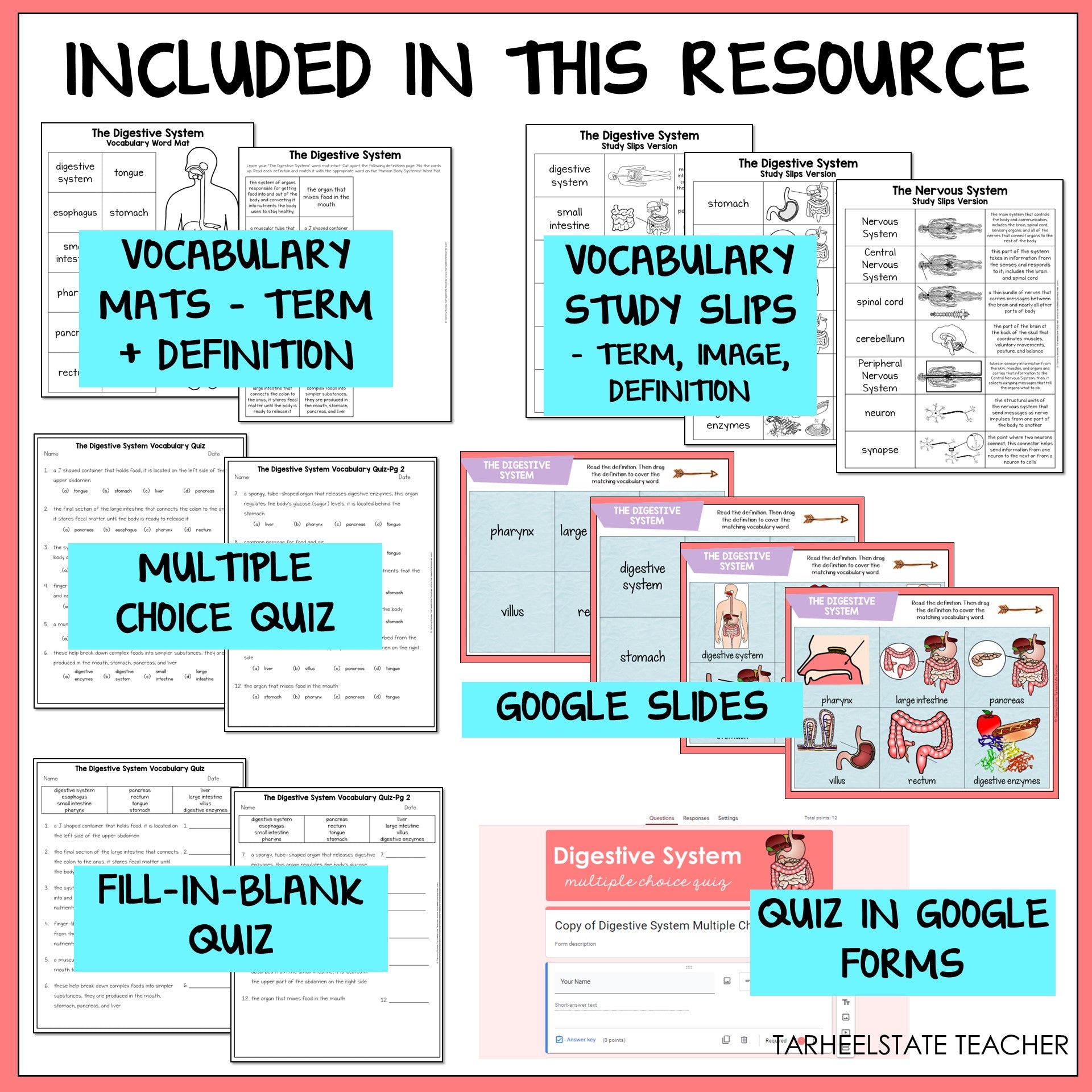 Educational resources including vocabulary mats, study slips, multiple choice quiz, Google Slides, fill-in-blank quiz, and quiz in Google Forms for the digestive system.