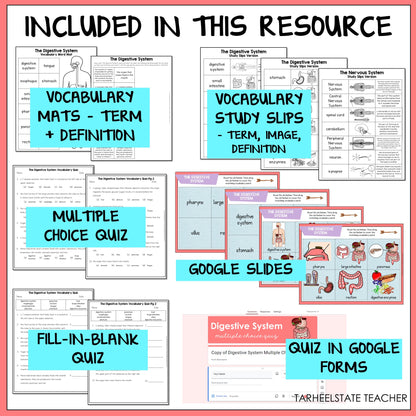 Educational resources including vocabulary mats, study slips, multiple choice quiz, Google Slides, fill-in-blank quiz, and quiz in Google Forms for the digestive system.