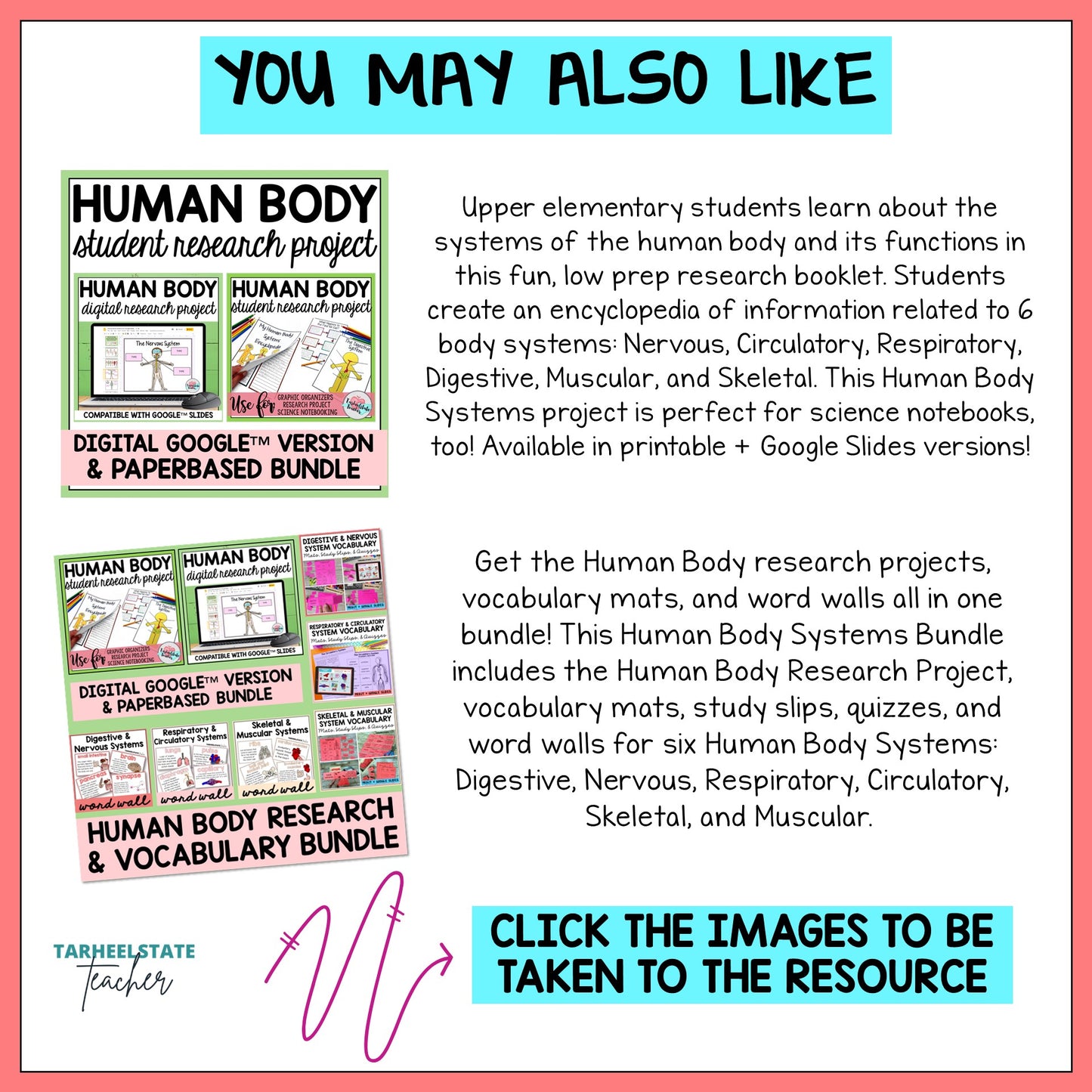 Student research project with worksheets, graphic organizers, and vocabulary activities on the Human Body