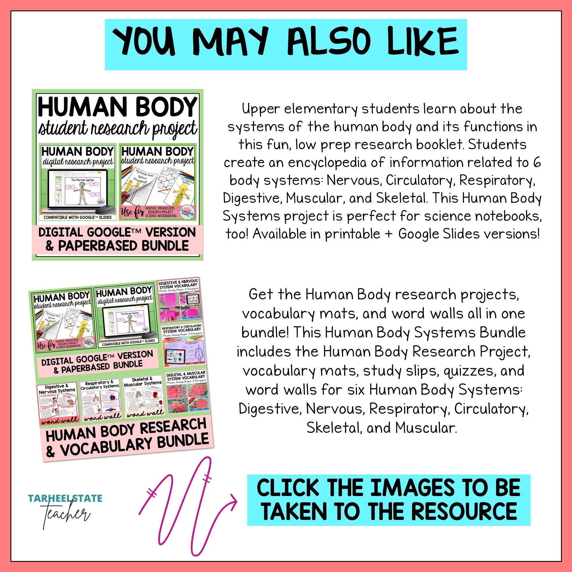 Student research project with worksheets, graphic organizers, and vocabulary activities on the Human Body