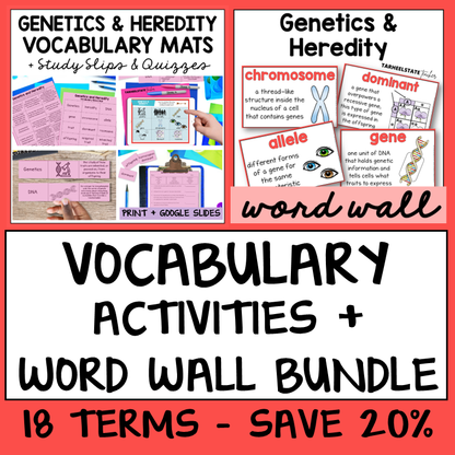 Educational materials for genetics and heredity with vocabulary mats, study slips, and word wall