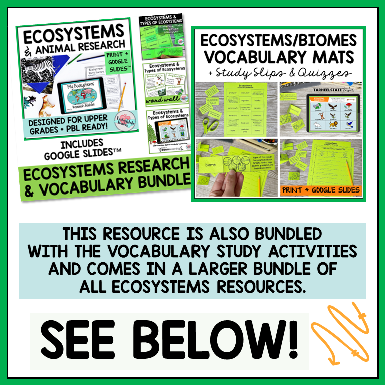 Ecosystems and Biomes Vocabulary Activities Mats, Study Slips, & Quizzes with Word Wall Bundle