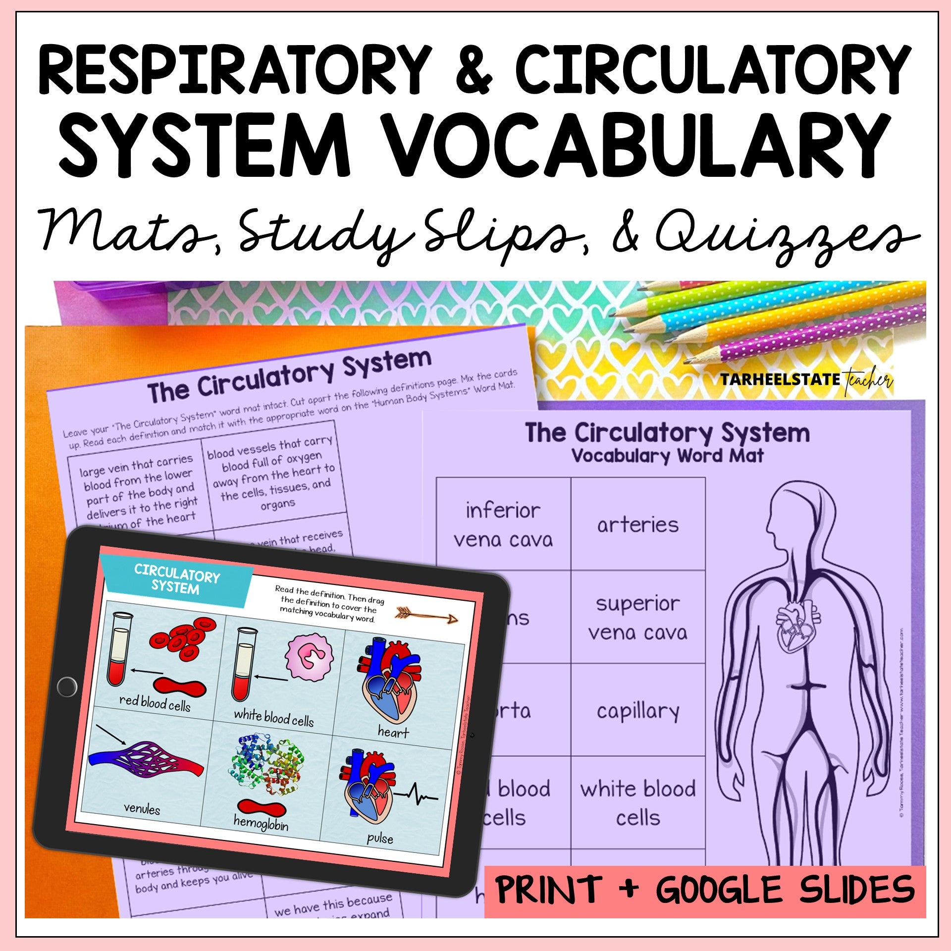 Educational materials on respiratory and circulatory systems with vocabulary mats, study slips, and quizzes.