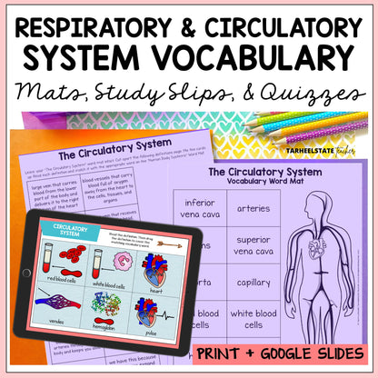 Educational materials on respiratory and circulatory systems with vocabulary mats, study slips, and quizzes.
