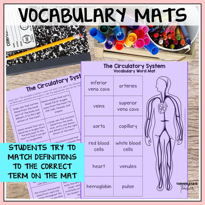 Vocabulary mats for teaching the circulatory system with definitions and terms.
