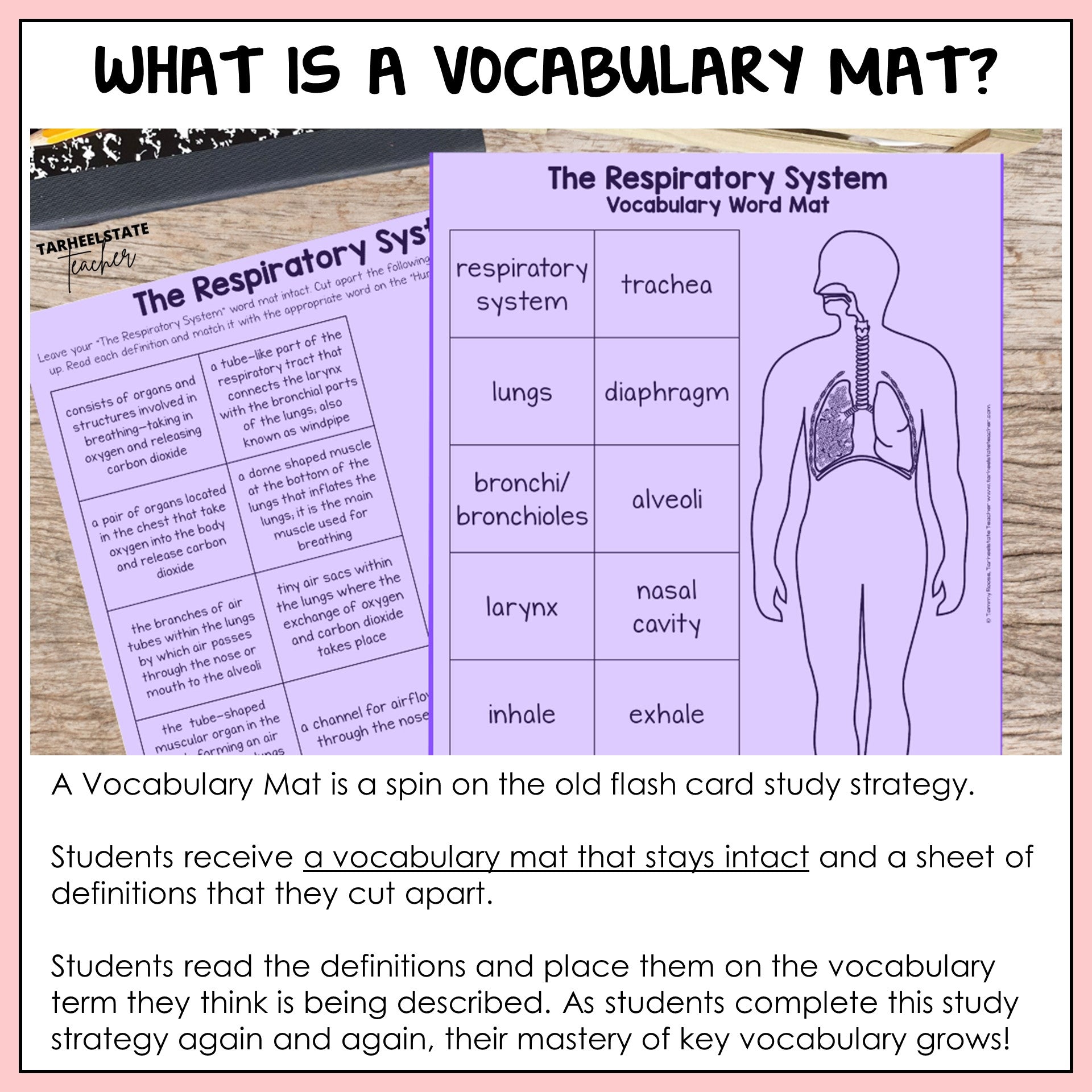 Explanation of how to use vocabulary mats in the classroom for instructing science vocabulary and test prep