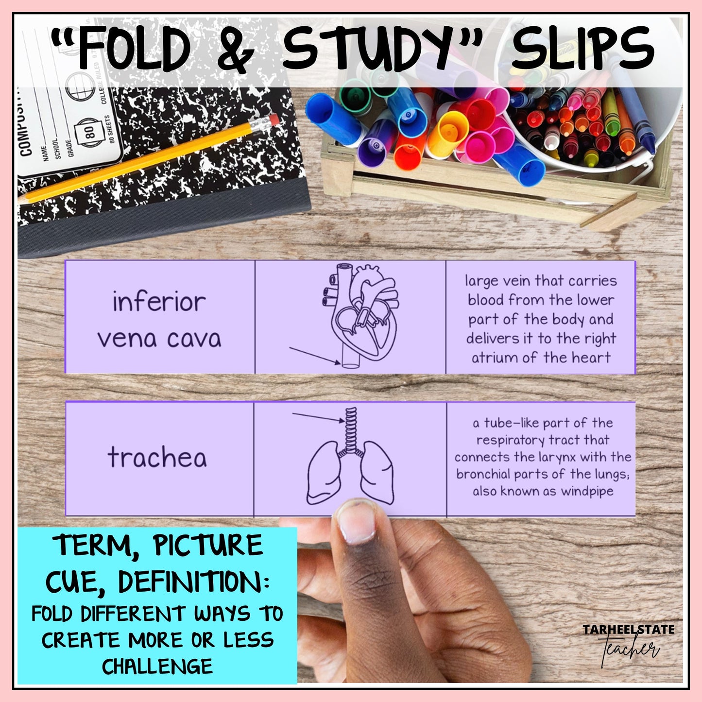 Educational 'Fold & Study' slips with respiratory system terms, pictures, and definitions 