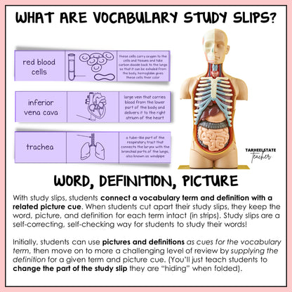 Vocabulary study slips with science term, definition, and picture