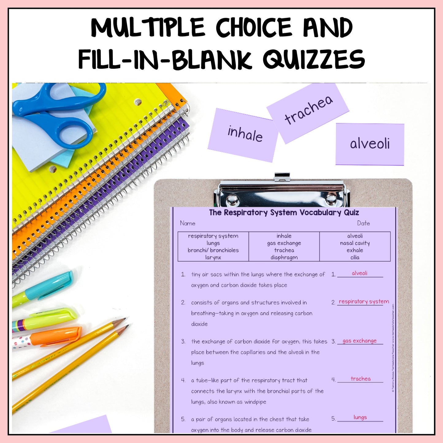 Multiple choice and fill-in-the-blank quizzes for checking student understanding and test prep