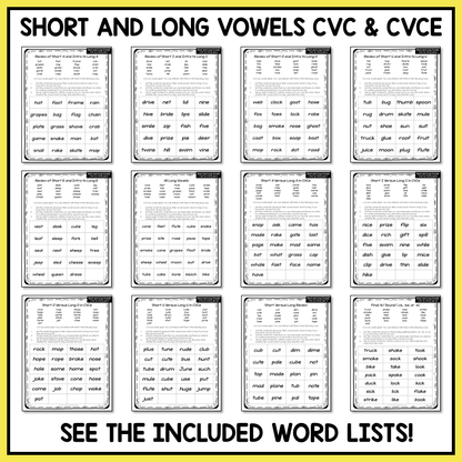 Short vs Long Vowels CVC and CVCe Words Within Word Pattern Activity Printable
