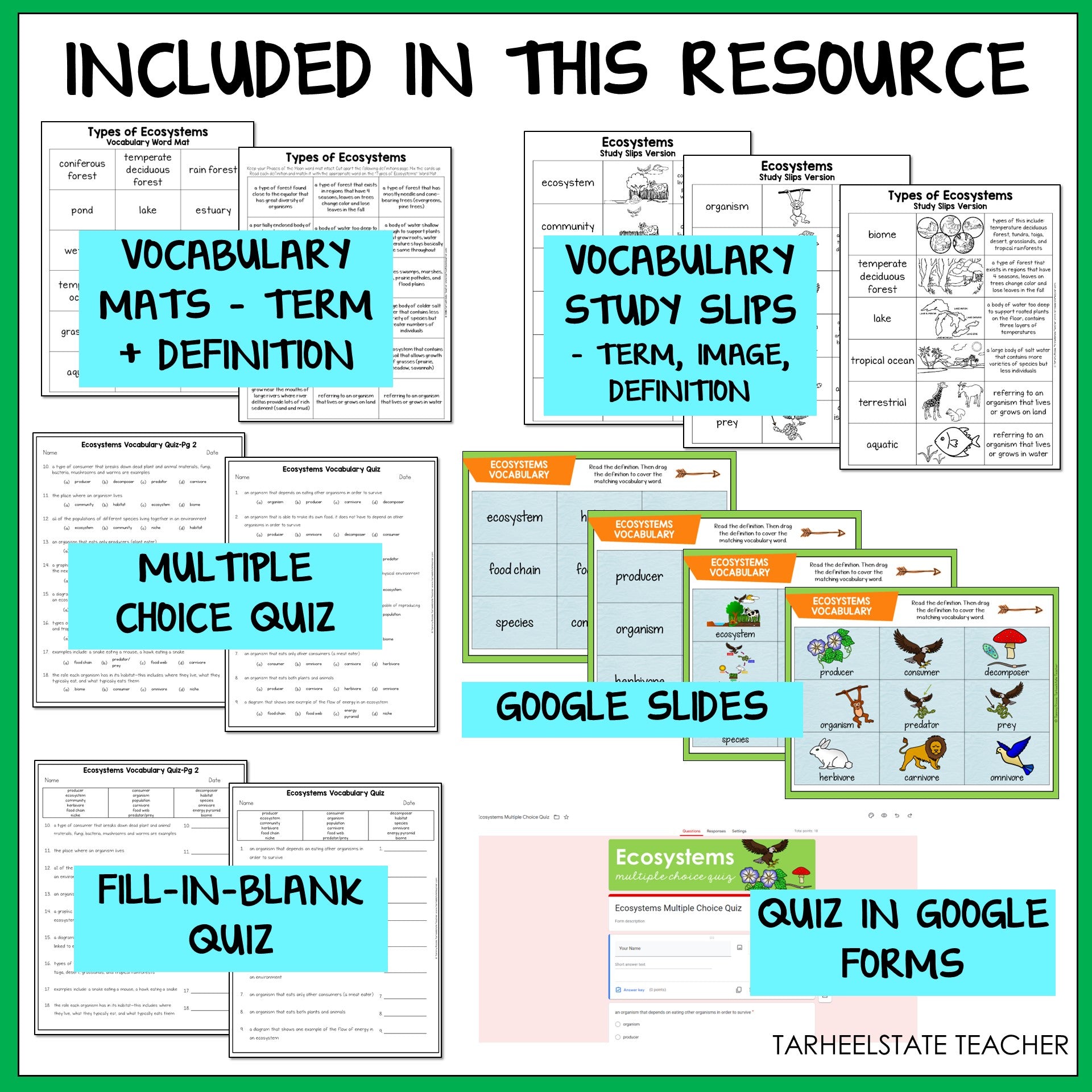 Educational resources including vocabulary mats, study slips, multiple choice quiz, Google Slides, fill-in-blank quiz, and quiz in Google Forms 