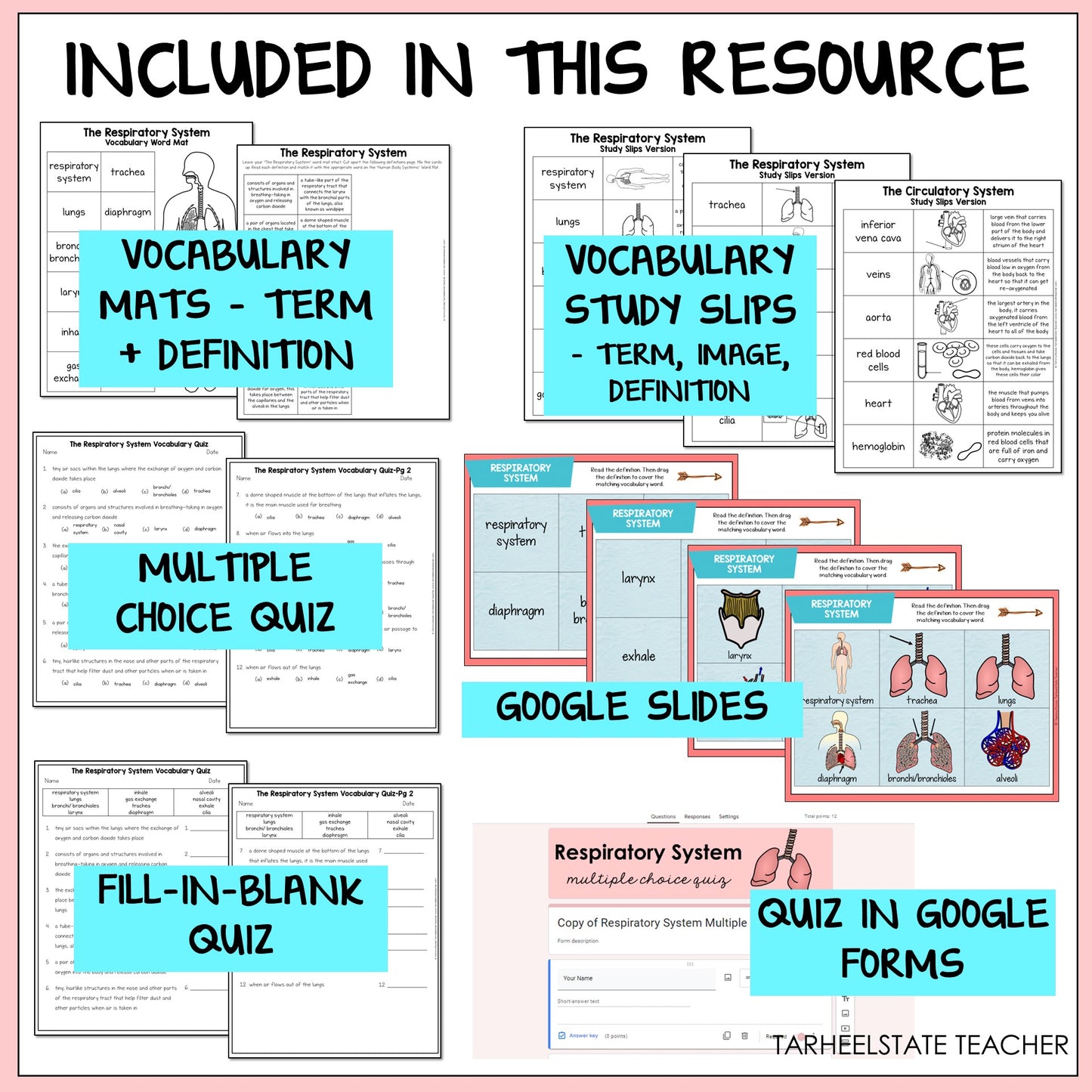 Educational resources including vocabulary mats, study slips, multiple choice quiz, Google Slides, fill-in-blank quiz, and quiz in Google Forms 