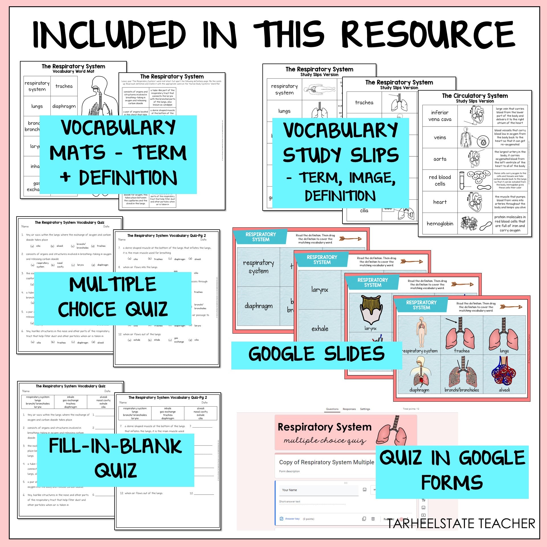 Educational resources including vocabulary mats, study slips, multiple choice quiz, Google Slides, fill-in-blank quiz, and quiz in Google Forms 