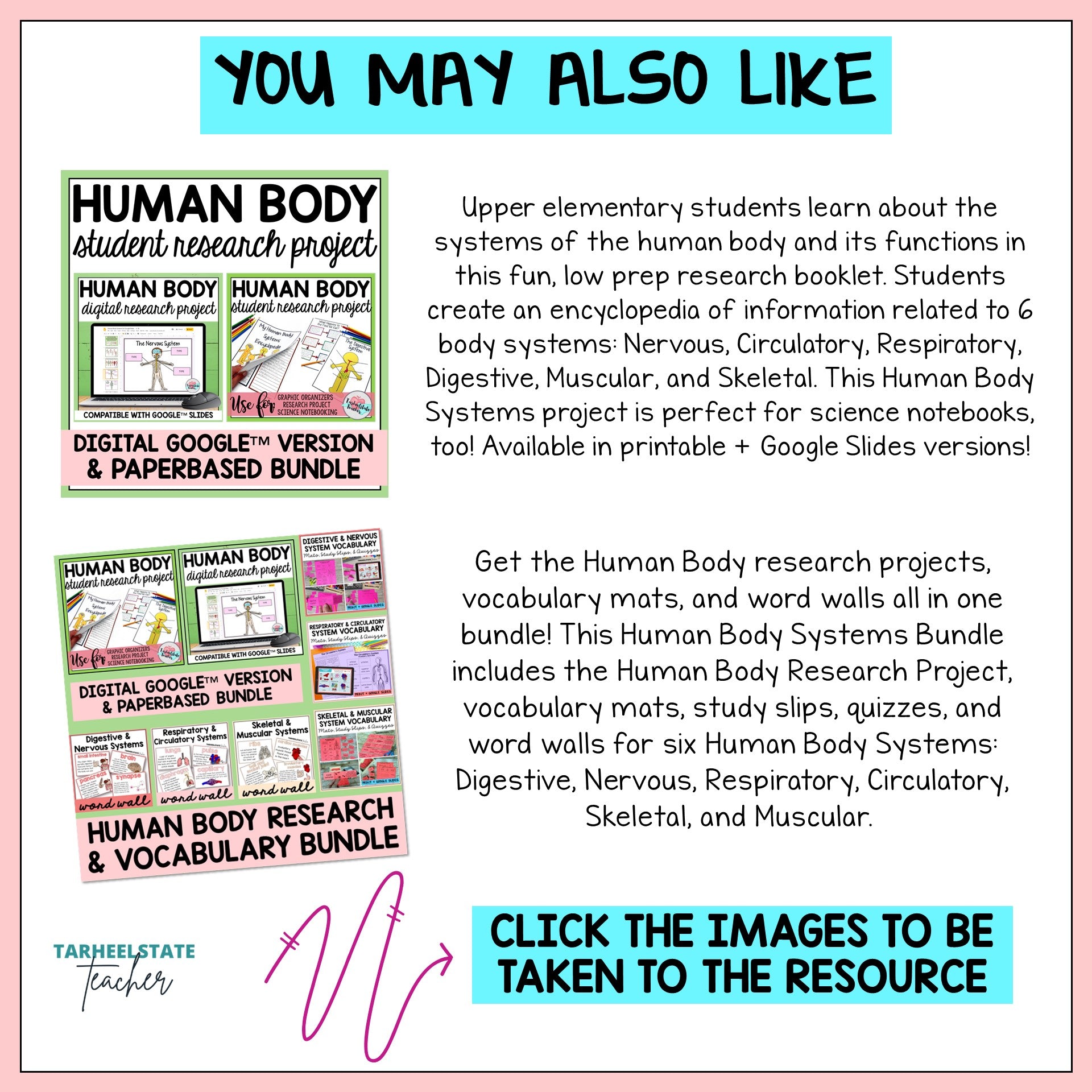 Promotional graphic for a human body research project bundle