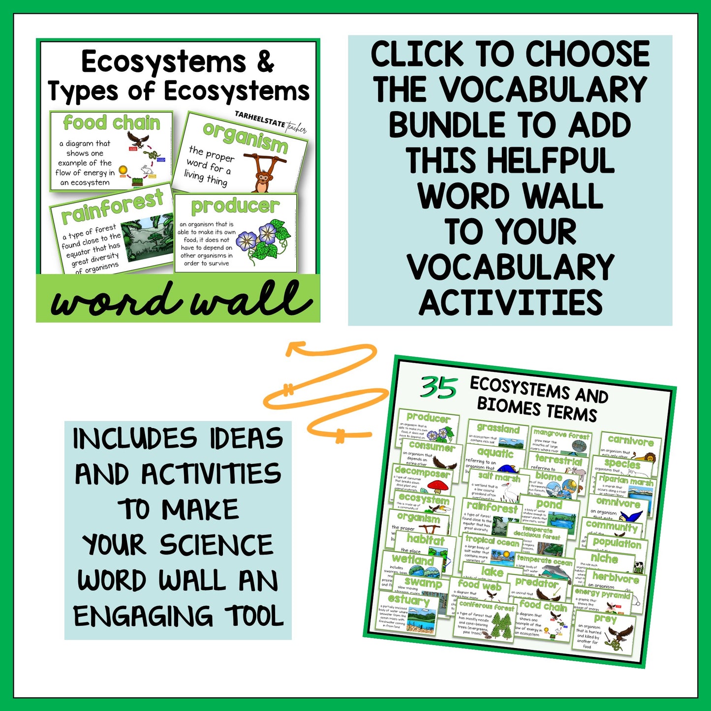 Ecosystems and Biomes Vocabulary Activities Mats, Study Slips, & Quizzes