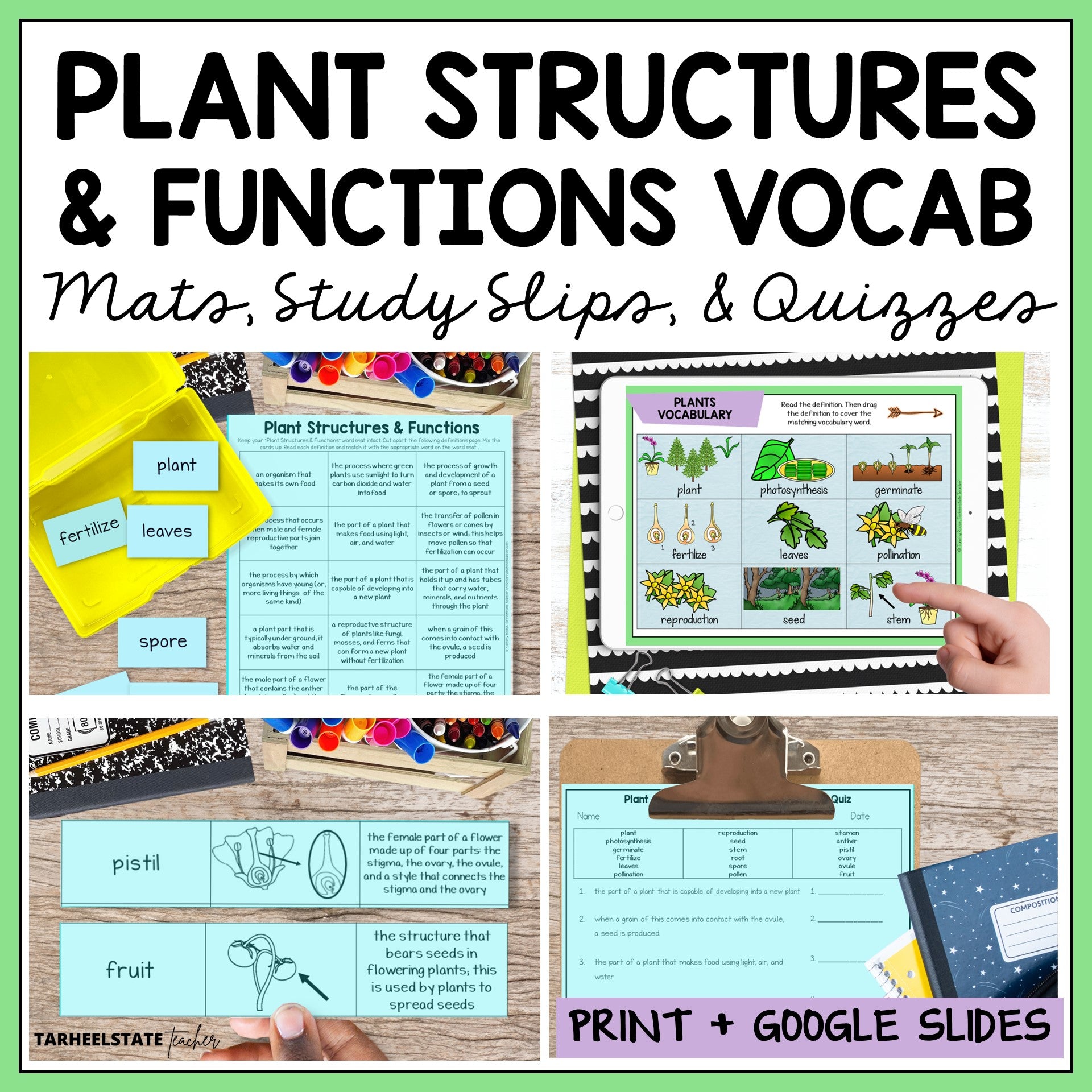 Educational materials for teaching plant structures and functions 