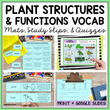 Educational materials for teaching plant structures and functions 