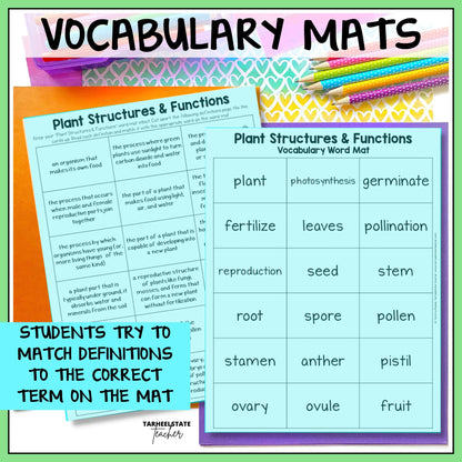 Vocabulary mats for plant structures and functions with definitions and terms.