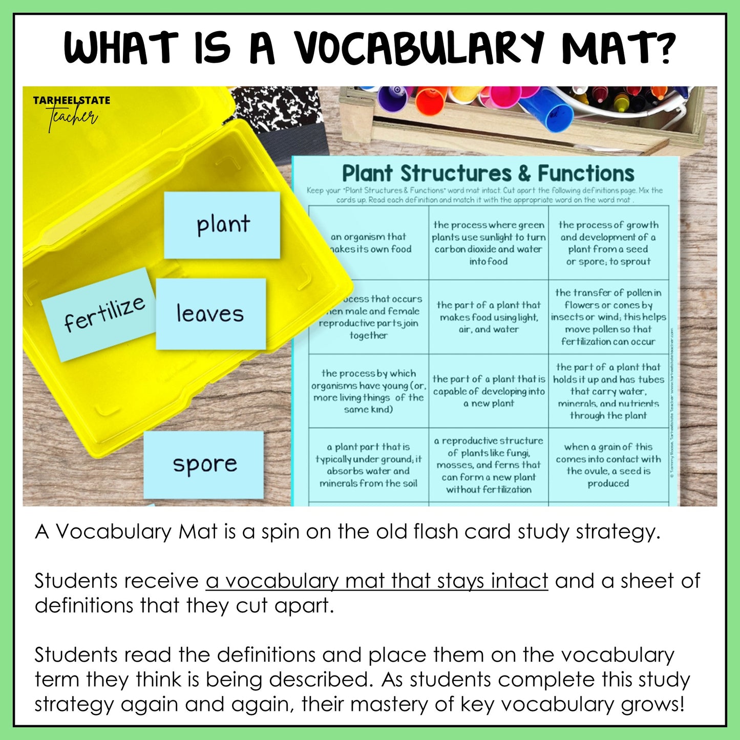 Vocabulary mat with flash cards and text explaining its use in teaching plant structures and functions.