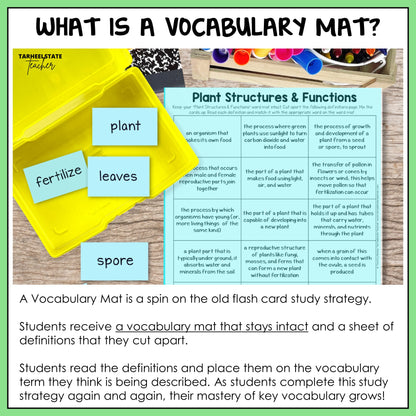 Vocabulary mat with flash cards and text explaining its use in teaching plant structures and functions.