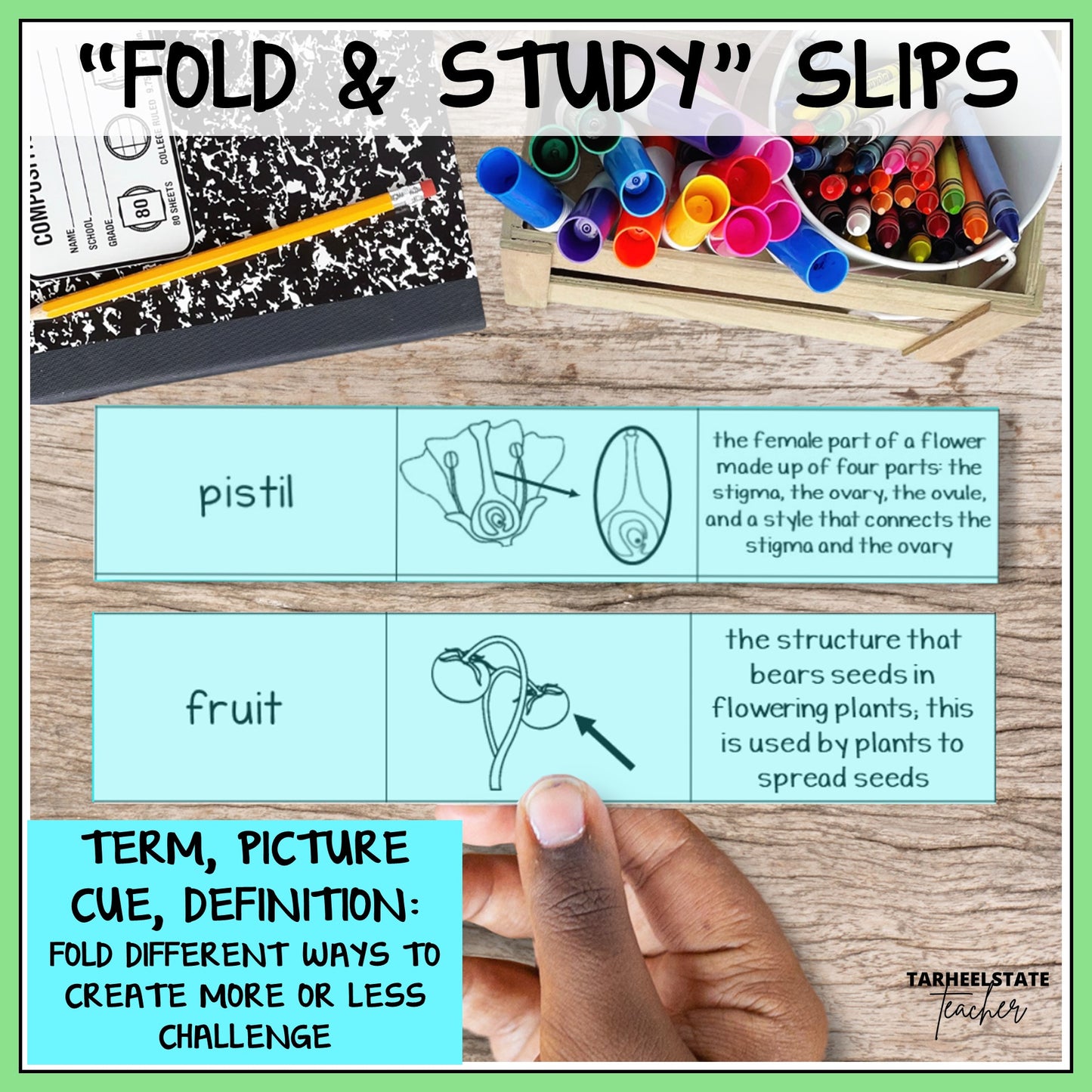 Educational 'Fold & Study' slips with terms, pictures, and definitions