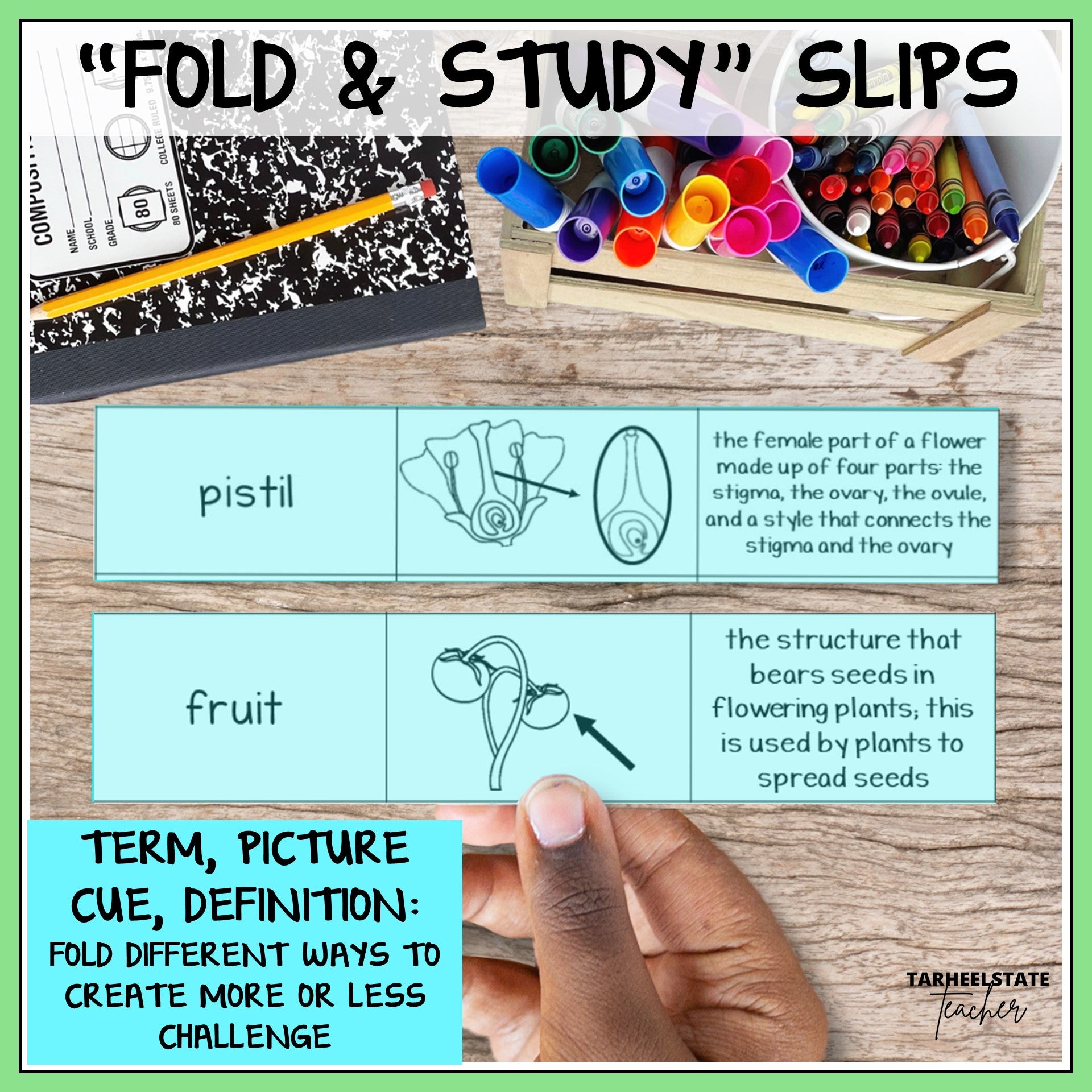 Educational 'Fold & Study' slips with terms, pictures, and definitions