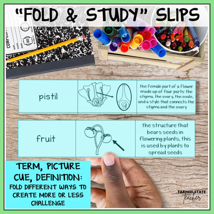 Educational 'Fold & Study' slips with terms, pictures, and definitions