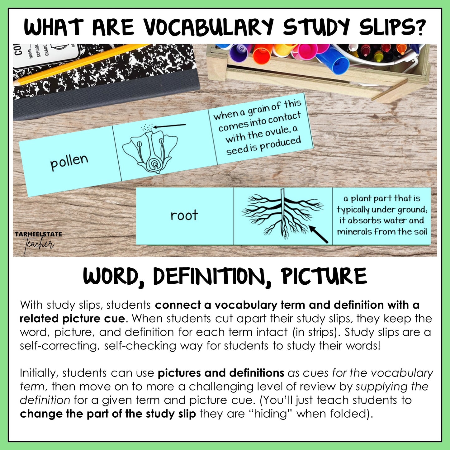 Vocabulary study slips with words, definitions, and pictures 