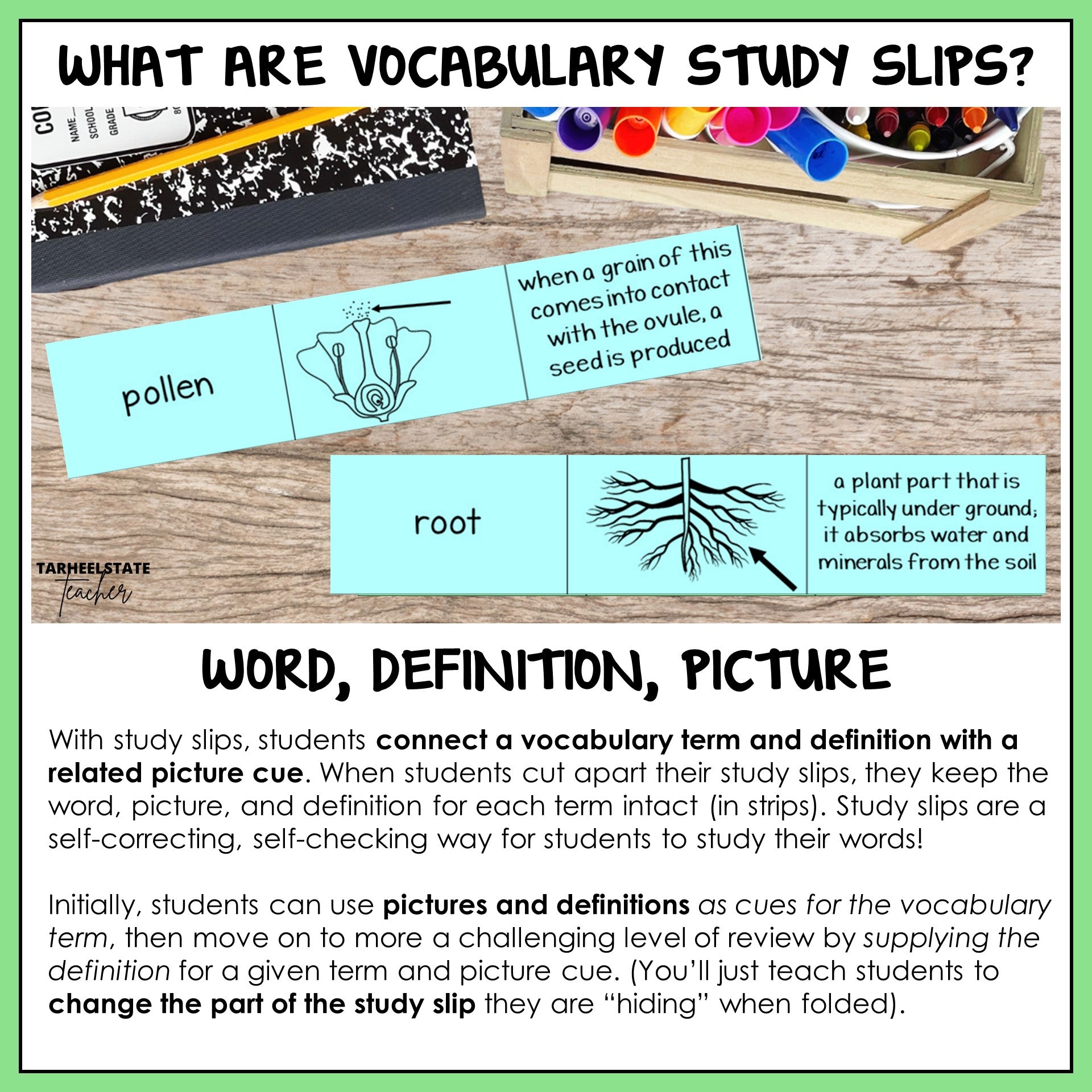 Vocabulary study slips with words, definitions, and pictures 