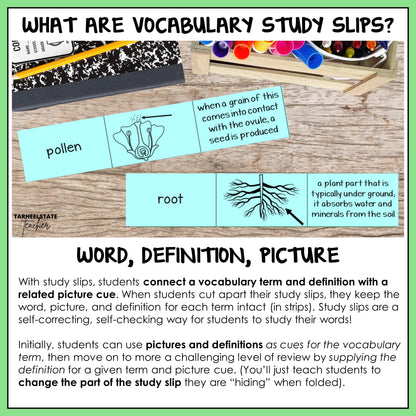 Vocabulary study slips with words, definitions, and pictures 