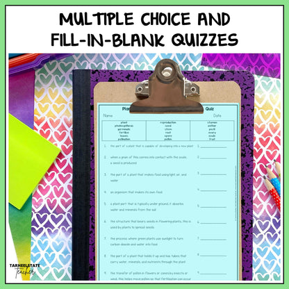 Quiz with multiple choice and fill-in-blank questions on plants structures and functions