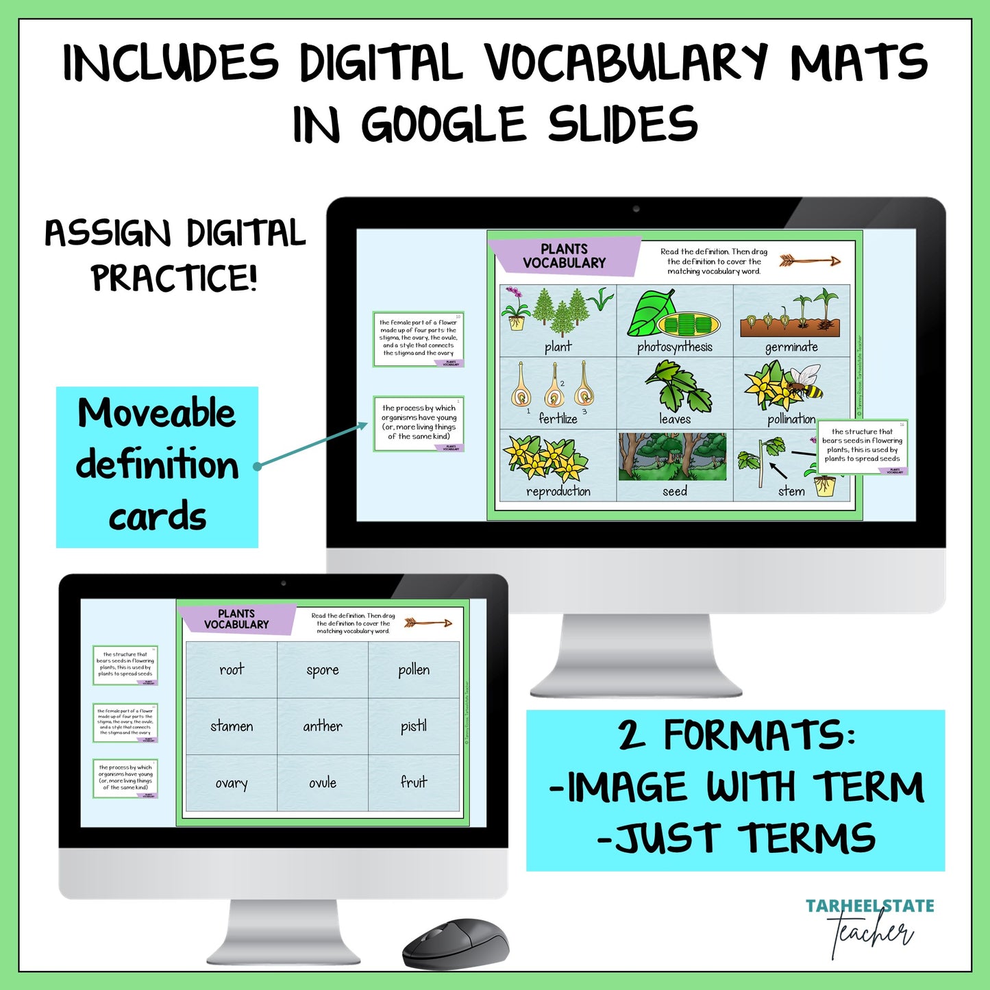 Digital vocabulary mats for plants structures and functions with Google Slides featuring movable definition cards.