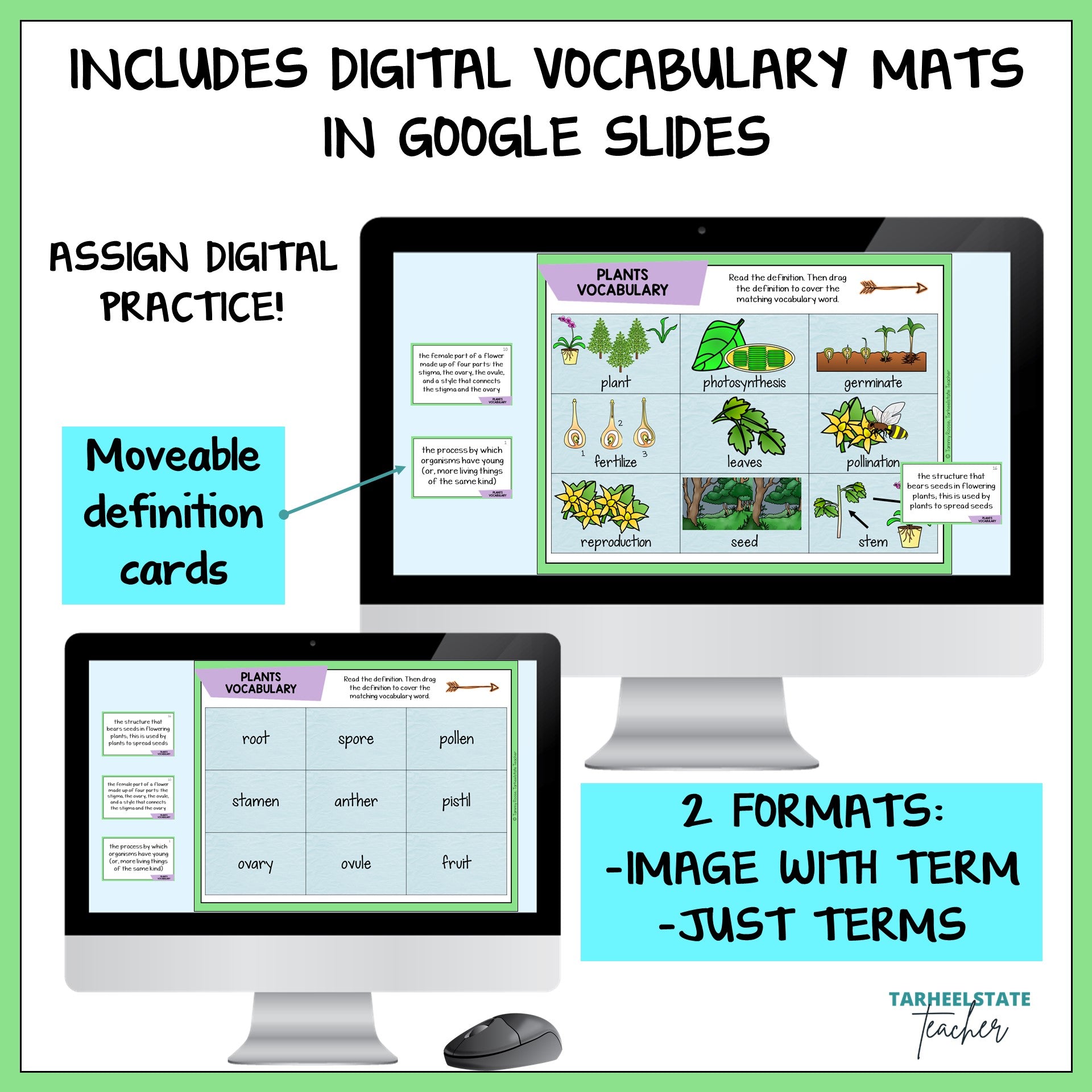 Digital vocabulary mats for plants structures and functions with Google Slides featuring movable definition cards.