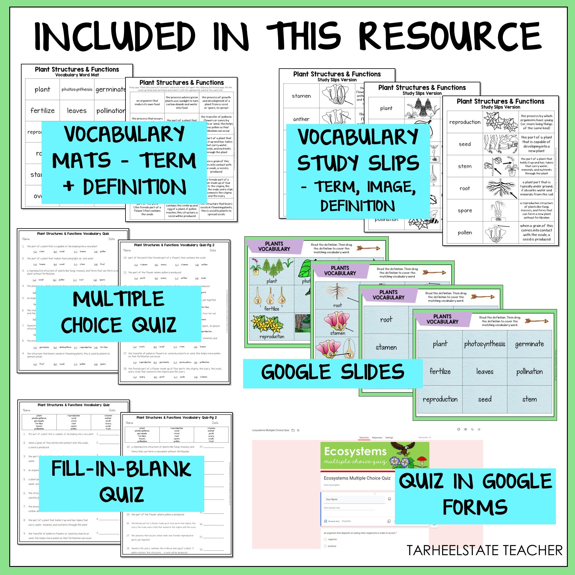 Educational resources including vocabulary mats, study slips, multiple choice quiz, Google Slides, fill-in-blank quiz, and quiz in Google Forms