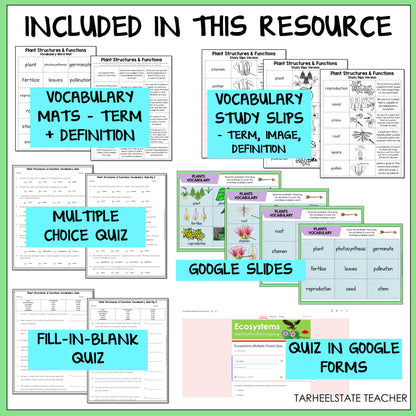 Educational resources including vocabulary mats, study slips, multiple choice quiz, Google Slides, fill-in-blank quiz, and quiz in Google Forms