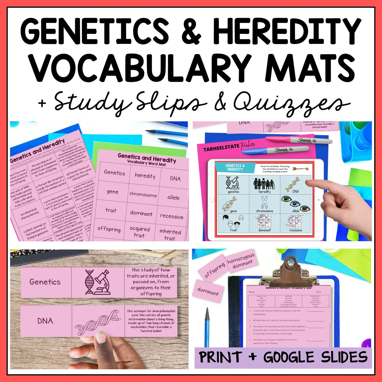Educational materials for genetics and heredity including vocabulary mats, study slips, and quizzes.