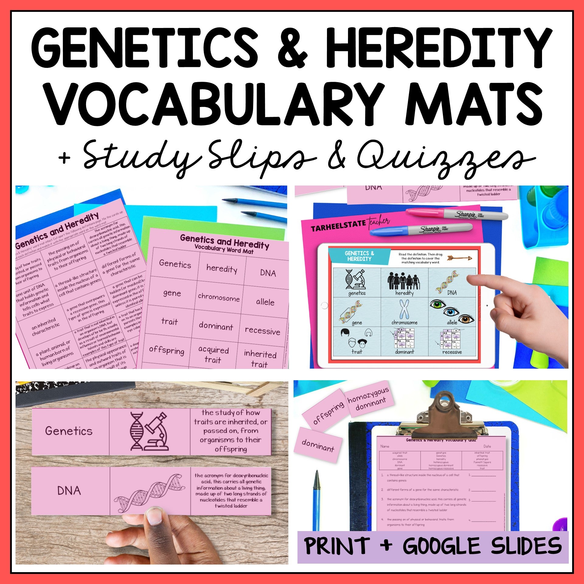 Educational materials for genetics and heredity including vocabulary mats, study slips, and quizzes.