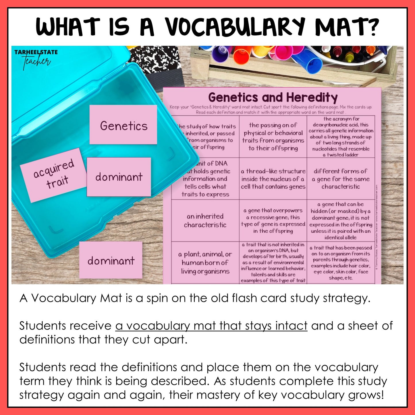 Genetics and Heredity Vocabulary mat with flash cards