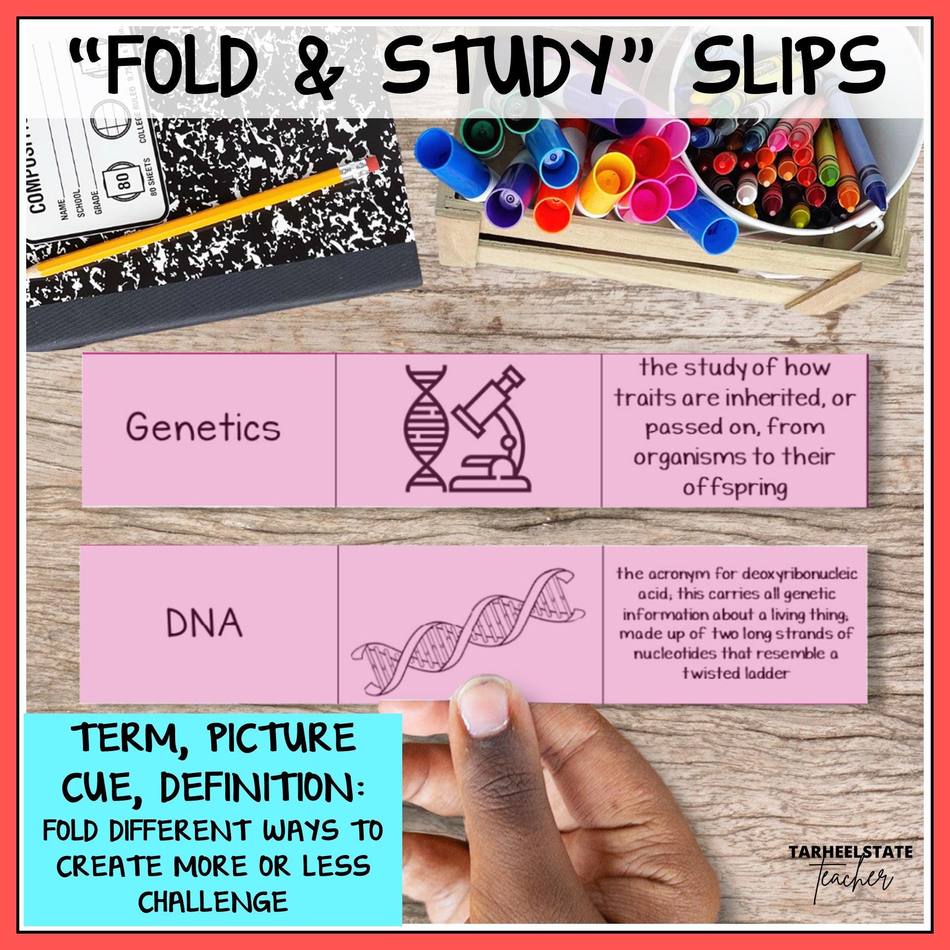 Educational 'Fold & Study' slips with genetics and DNA definitions