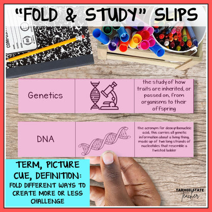 Educational 'Fold & Study' slips with genetics and DNA definitions