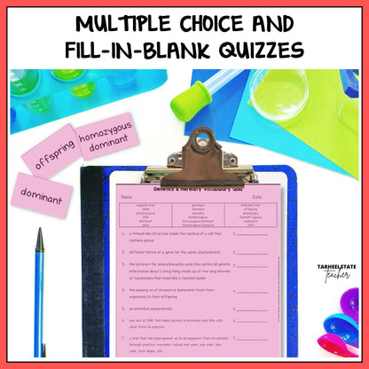 Multiple choice and fill-in-the-blank quizzes for vocabulary review or test prep