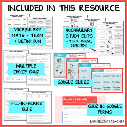 Educational resources including vocabulary mats, study slips, multiple choice quiz, Google Slides, fill-in-blank quiz, and quiz in Google Forms
